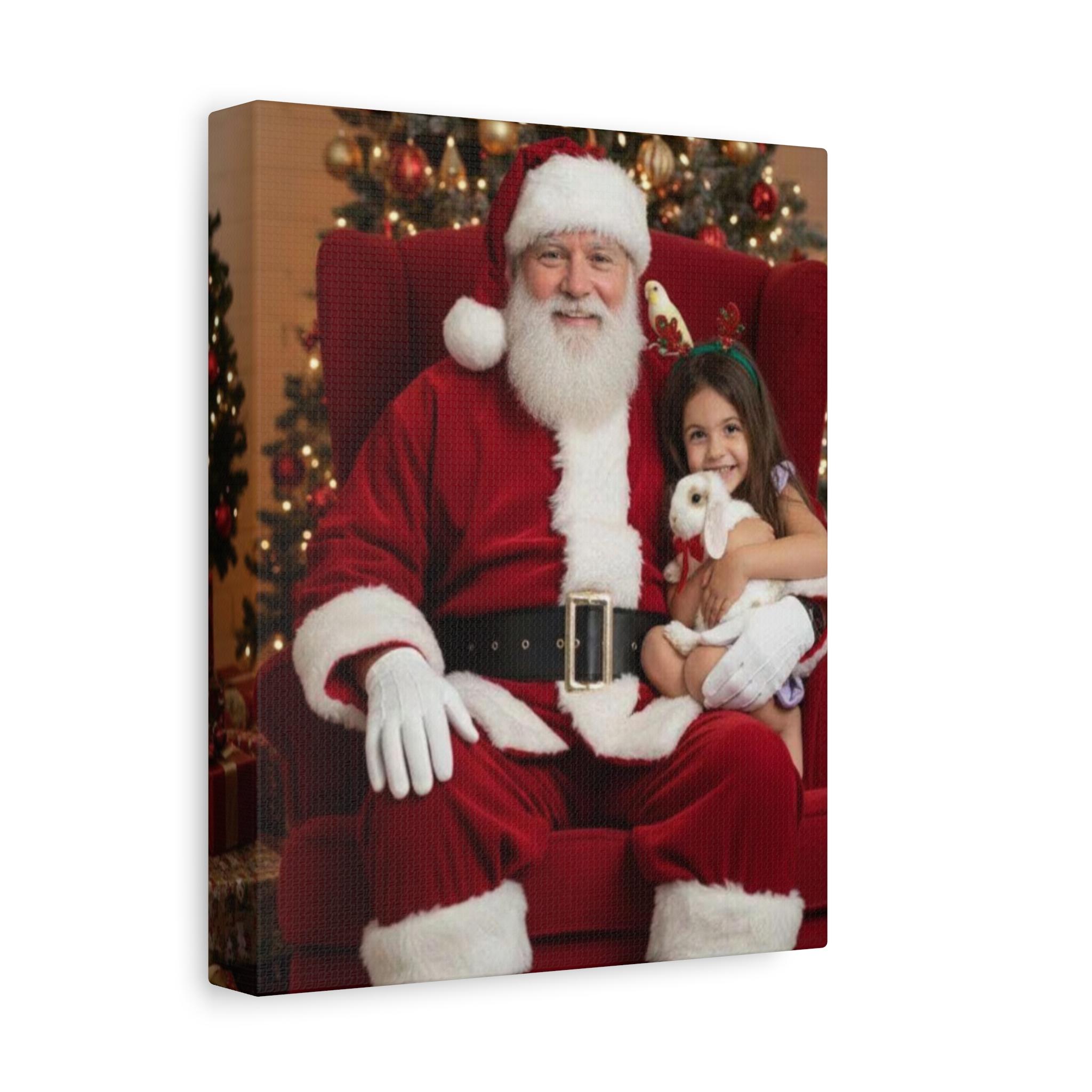 Pet Photo with Santa style examples - Example 1